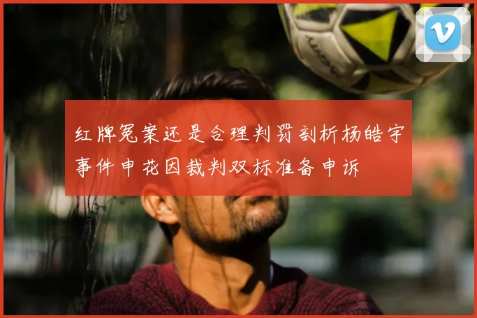 红牌冤案还是合理判罚剖析杨皓宇事件申花因裁判双标准备申诉