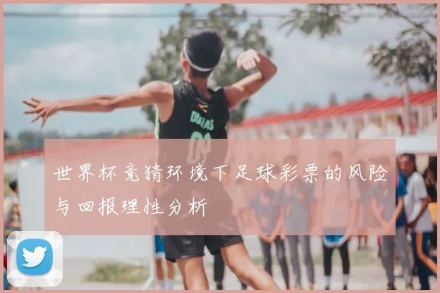 世界杯竞猜环境下足球彩票的风险与回报理性分析