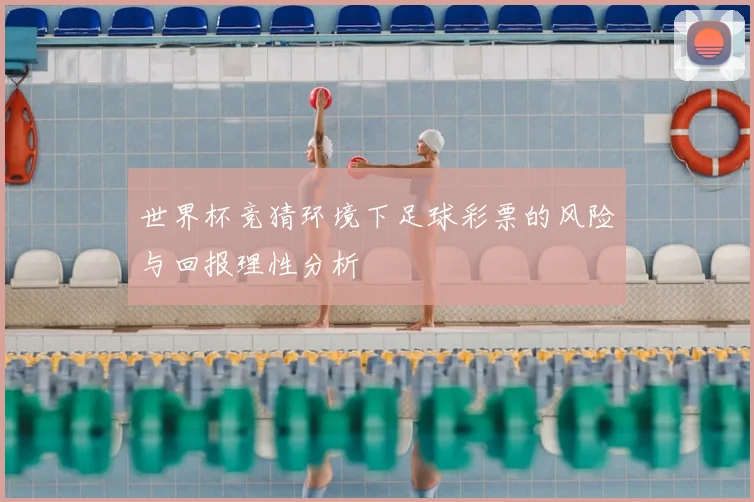 世界杯竞猜环境下足球彩票的风险与回报理性分析