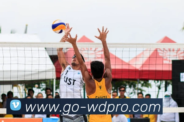 wending官网APP平台生态图