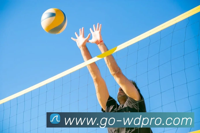 wending官网APP品牌故事