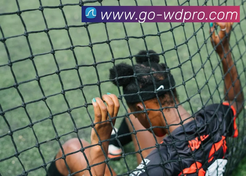 wending官网APP服务体系