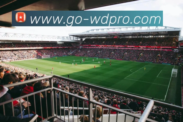 wending官网APPAPP 封面图